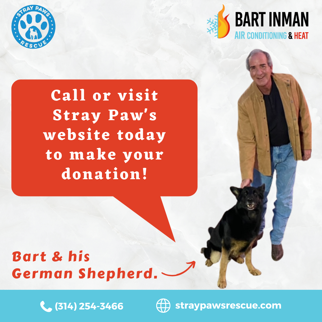Bart_Inman_Stray_Paws_Post_2